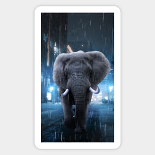 Elephant in the Rain Sticker